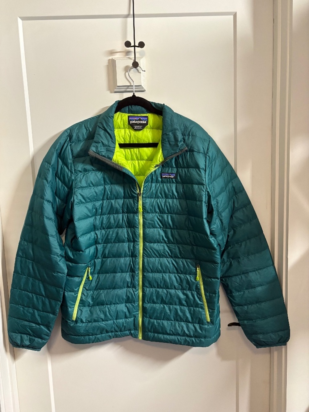 Patagonia men’s down jacket